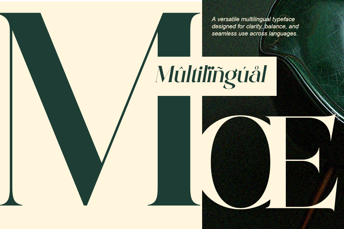 Qorvella - Modern Elegant Luxury, a Serif Font by Qweera Studio (Photo 10 of 12)