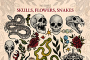 Skulls, Flowers and Snakes | Vintage, a Decorative Illustration by Ink Stories (Thumbnail 2 of 12)