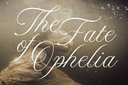 Royal Fortune Luxury Font Duo, a Serif Font by Letterhend Studio (Thumbnail 3 of 9)