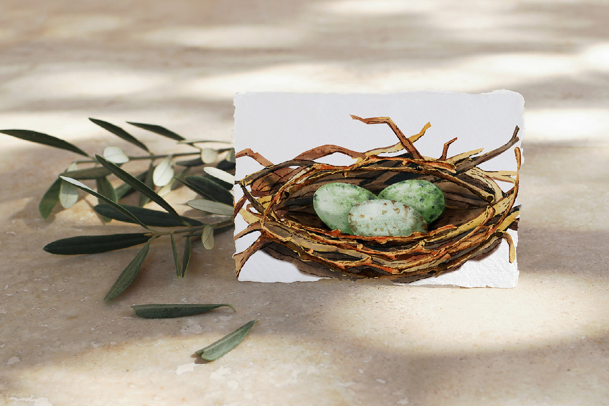 Starling family, spring bird, plants, an Animal Illustration by Artmanata (Photo 11 of 16)