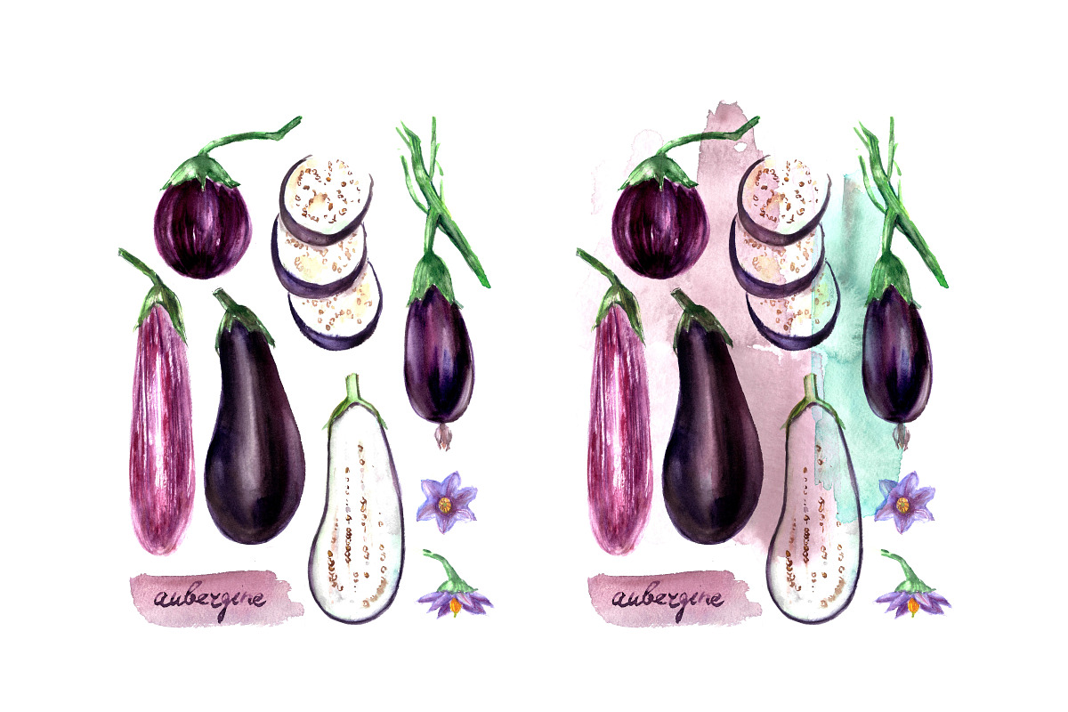 Watercolor vegetables. Eggplant., a Food Illustration by katya.bogina (Photo 4 of 4)