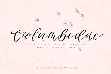 Columbidae Elegant Calligraphy Font