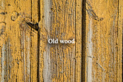 Autumn Leaves Scene Creator, a Product Mockup by Rose Design (Thumbnail 9 of 10)