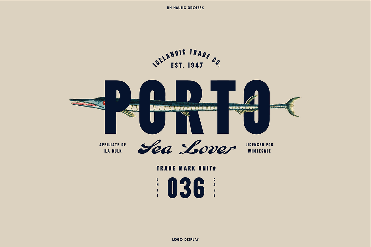 Nautic Grotesk - Modern Display Font, a Sans Serif Font by Bnick (Photo 5 of 12)