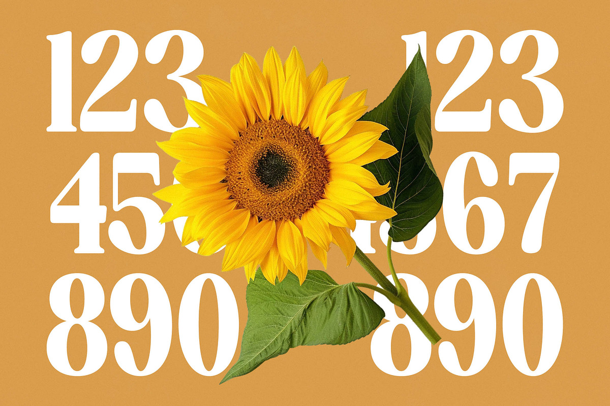 Ordinal Modern Display Serif Font, a Serif Font by timelesstype.co (Photo 8 of 20)