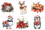 Christmas Animals and Poinsettia, an Illustration by Daily.Designs (Thumbnail 3 of 5)
