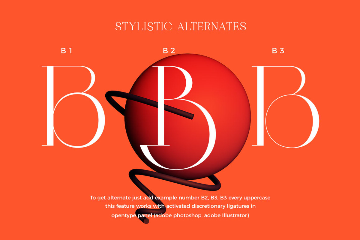 Braston - Elegant Serif Font, a Serif Font by Dora Typefoundry (Photo 9 of 20)