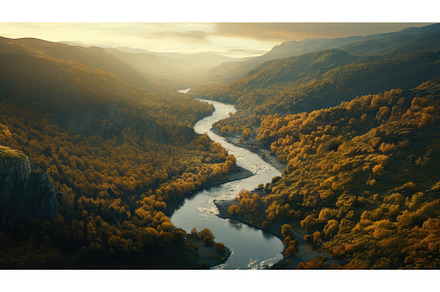 foliage nature environment, a Nature Photo by pikepicture
