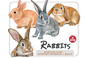 Watercolor Realistic Rabbits clipart, an Animal Illustration by ArtfulStudio (Thumbnail 1 of 8)