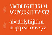 Female Halzita Modern Alternate Font, a Serif Font by timelesstype.co (Thumbnail 11 of 20)