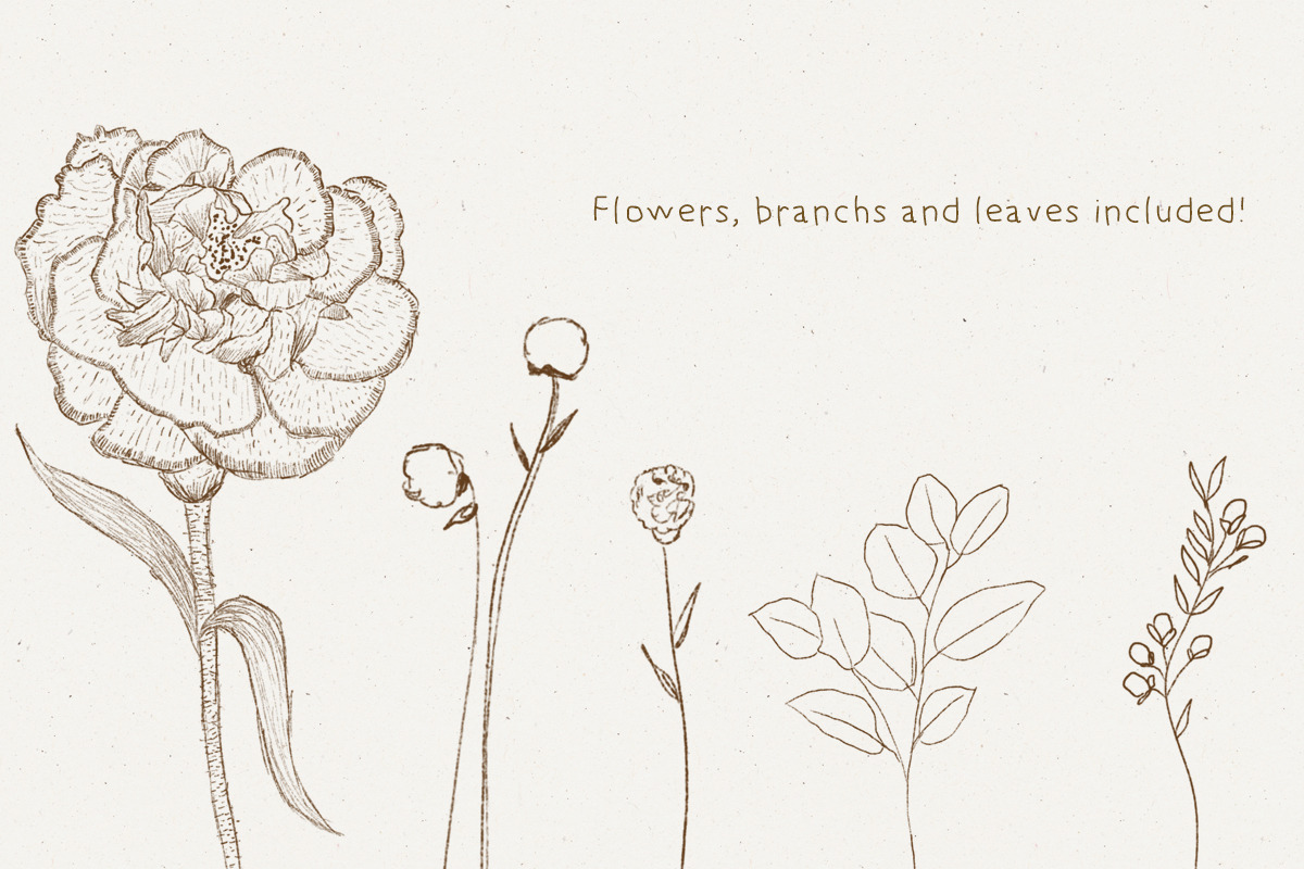 The Procreate Botanical Box, a Brush Add-On by Just Bia (Photo 13 of 15)