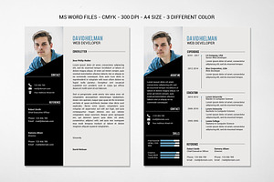 Ms.Word Professional Resume Template