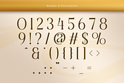 Biora - Elegant Serif Display Font, a Serif Font by Flawless And Co (Thumbnail 8 of 10)