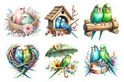 Watercolor Parakeet Couple Clipart, an Illustration by Daily.Designs (Thumbnail 3 of 5)