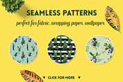 Cactus Floral Backgrounds, an Illustration by Anna Studio (Thumbnail 5 of 7)