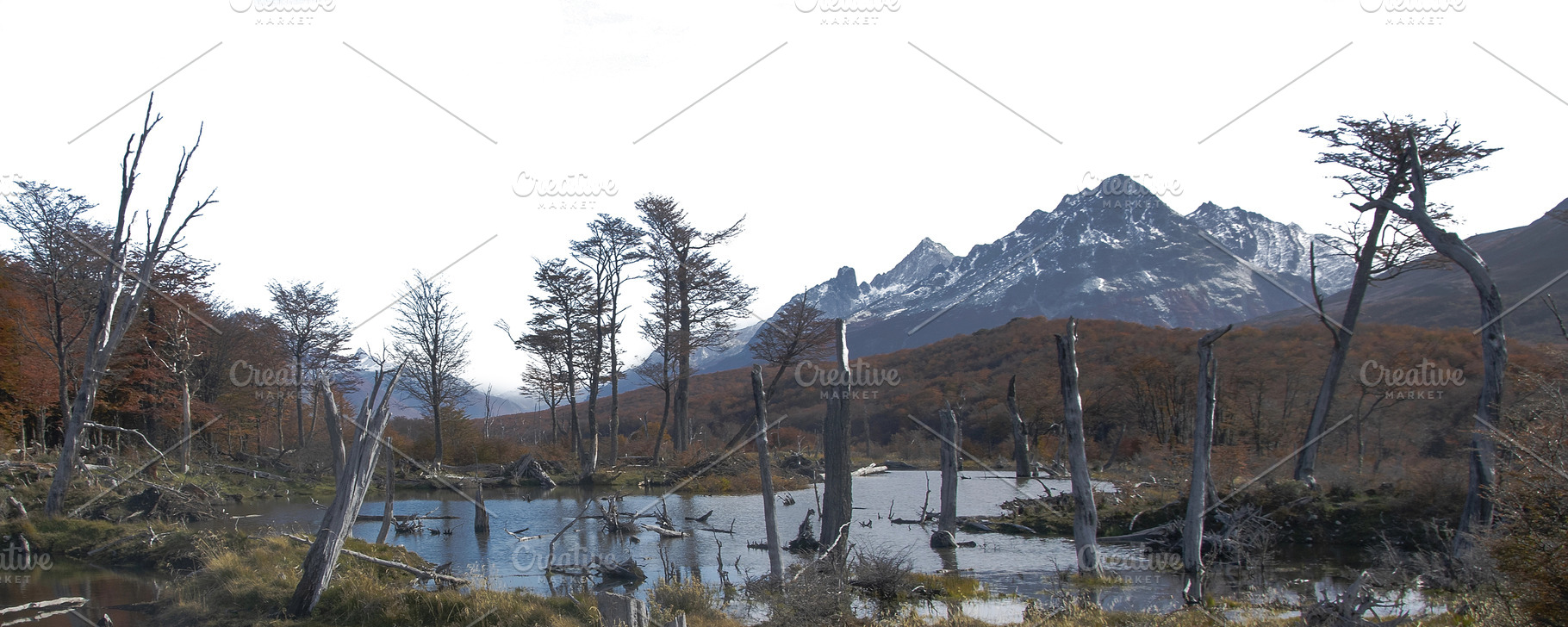 Dry forest and andes mountains isolated photo, a Nature Photo by DanFLCreativo