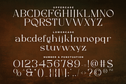 Mayoze - Elegant Classic Font, a Serif Font by Salamahtype (Thumbnail 6 of 7)