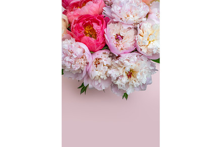 Fresh bunch of pink peonies