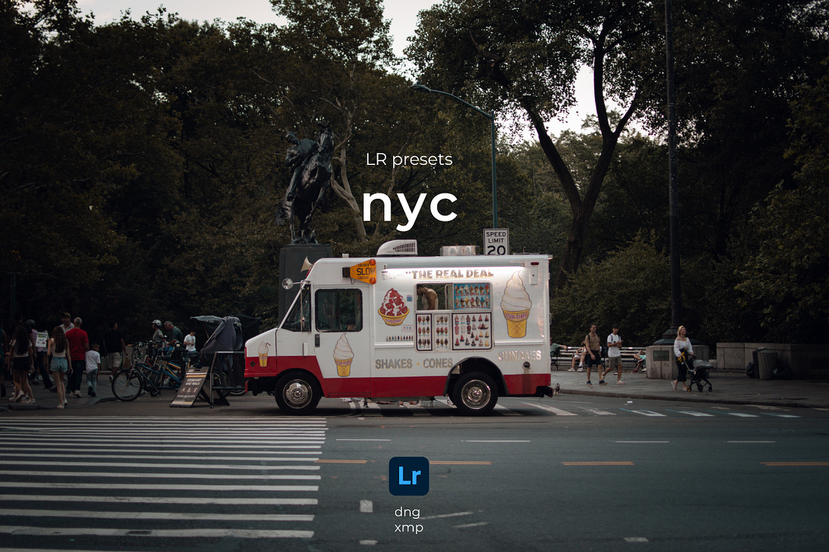 LR presets NYC, a Preset Add-On by Emi Martinez Diana (Photo 1 of 11)