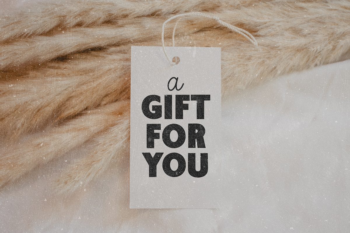 STYLISH MODERN Font Bundle V1, a Sans Serif Font by Blush Font Co. (Photo 11 of 12)