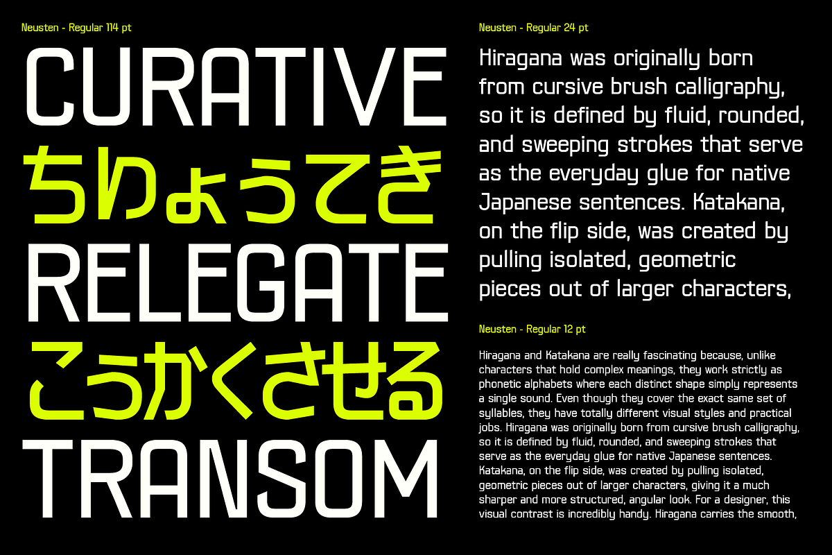 403 Neusten, a Sans Serif Font by 403 Type Foundry (Photo 7 of 16)