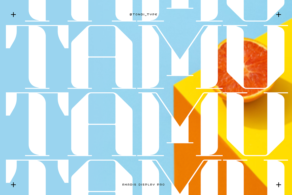 Akadis Neue - Contemporary Serif, a Serif Font by Tondi Type Studio (Photo 14 of 19)