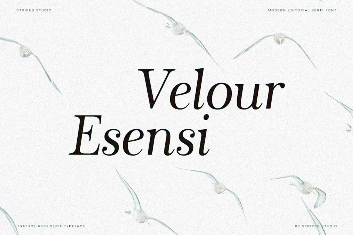 The Stripes Editorial + Italics, a Serif Font by Stripes Studio (Photo 19 of 23)