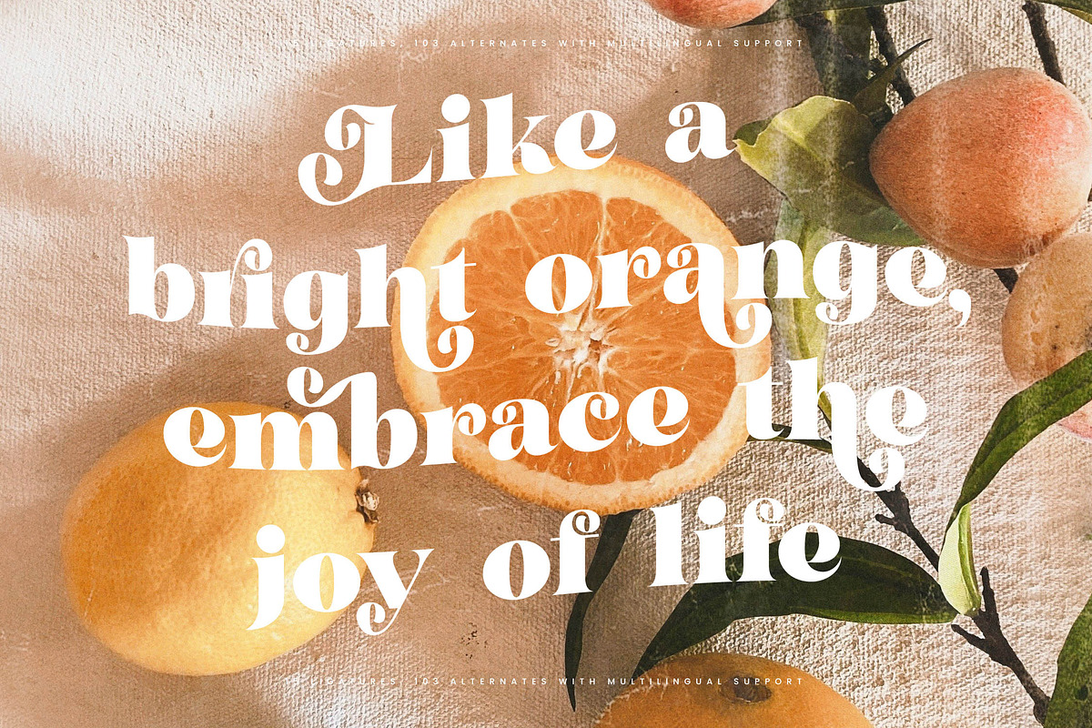Garden Rosila Modern Retro Serif, a Serif Font by timelesstype.co (Photo 11 of 20)