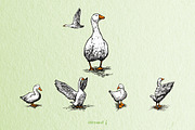 Geese - Hand Drawn Illustrations, an Animal Illustration by Andrea Tardivo (Thumbnail 3 of 4)