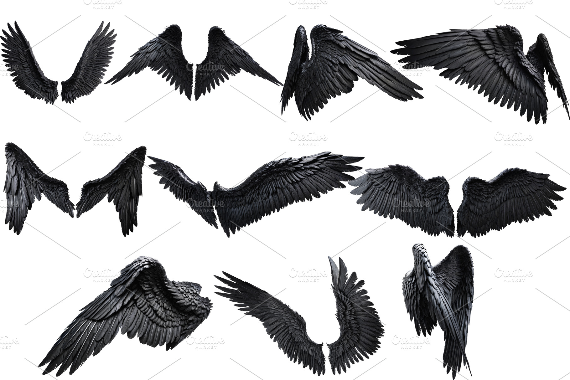 set of photorealistic black wings, an Animal Photo by itakdalee