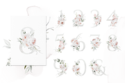 Bronte | Botanical set | 280+ images, an Illustration by Karma (Thumbnail 18 of 39)
