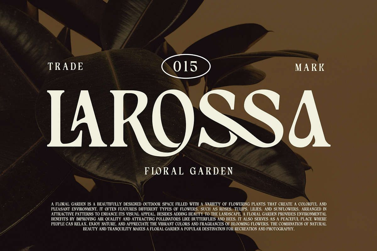 Gilgans Classic Serif Typeface, a Serif Font by Violet Natural (Photo 2 of 8)