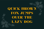 Glenca | Modern Serif font, a Serif Font by Muntab_Art (Thumbnail 4 of 6)
