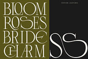 Lunoriels – Classic Serif Font, a Serif Font by Invasi Studio (Thumbnail 2 of 13)