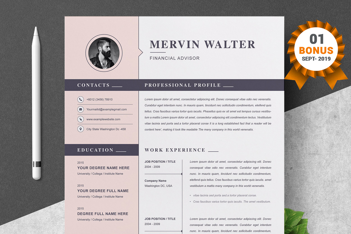 Resume/CV Bundle | 200+ for $29, a Resume Template by ResumeInventor (Photo 72 of 207)