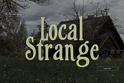 Unusual Decorative Display Serif, a Serif Font by foxsong (Thumbnail 1 of 6)