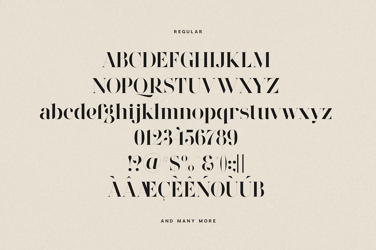 Wonderz Typeface — A Modern Serif, a Serif Font by VP Fonts (Photo 15 of 16)