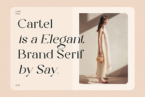 The Cartel - Elegant Serif Font