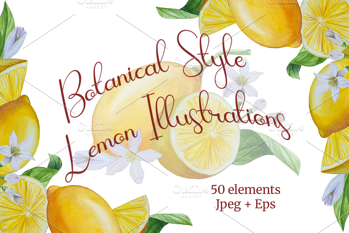 Botanical Style Lemon Illustrations, a Food Illustration by Milla_Zelenyuk_art (Photo 1 of 3)