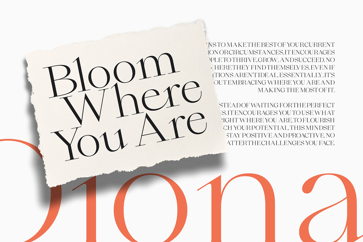 Qiona Elegant Modern Serif Font, a Serif Font by timelesstype.co (Photo 11 of 20)