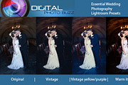 Essential Presets for Weddings preview 3