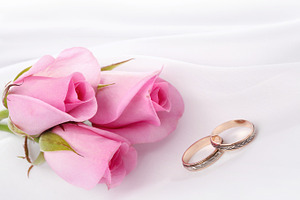 wedding rings and pink roses