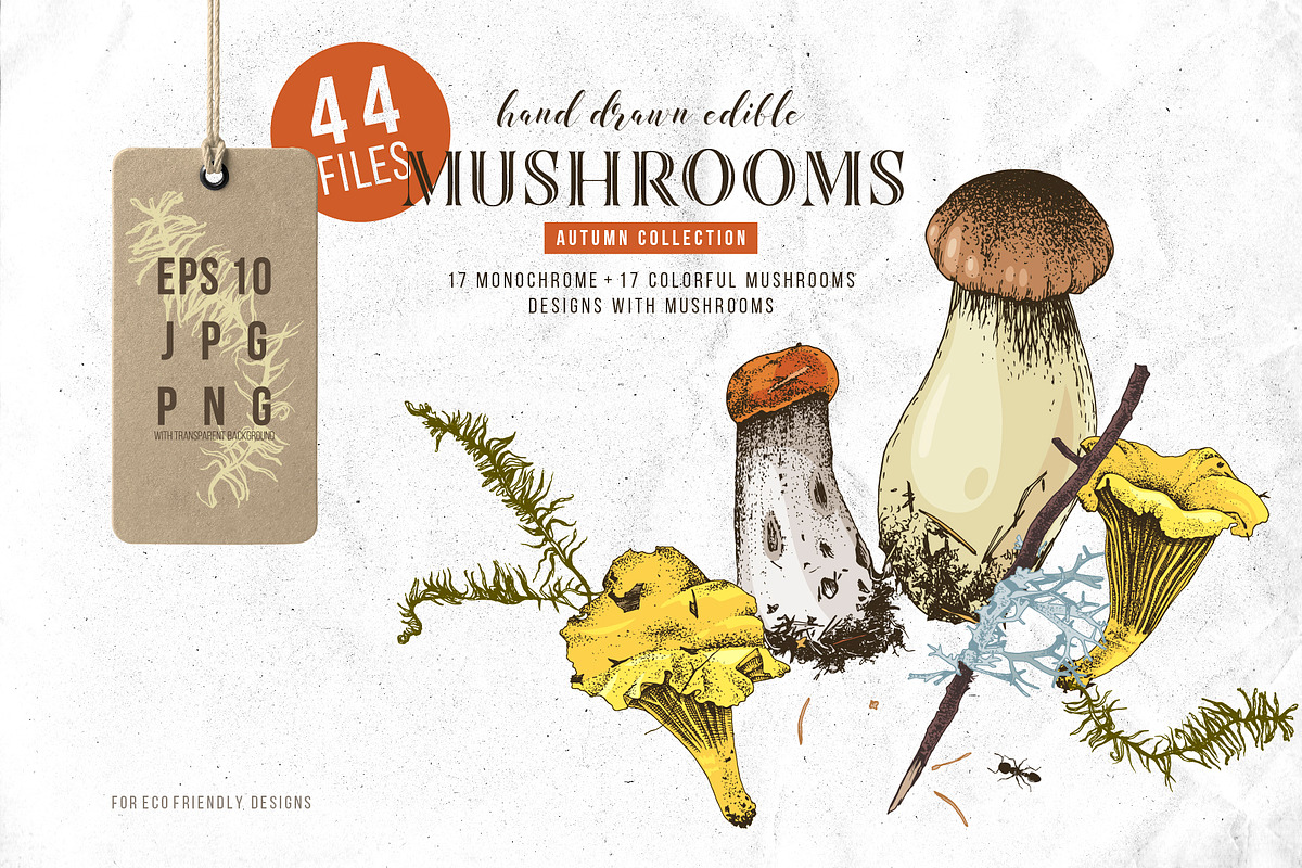 Natural food BUNDLE, a Food Illustration by handsketched (Photo 20 of 26)