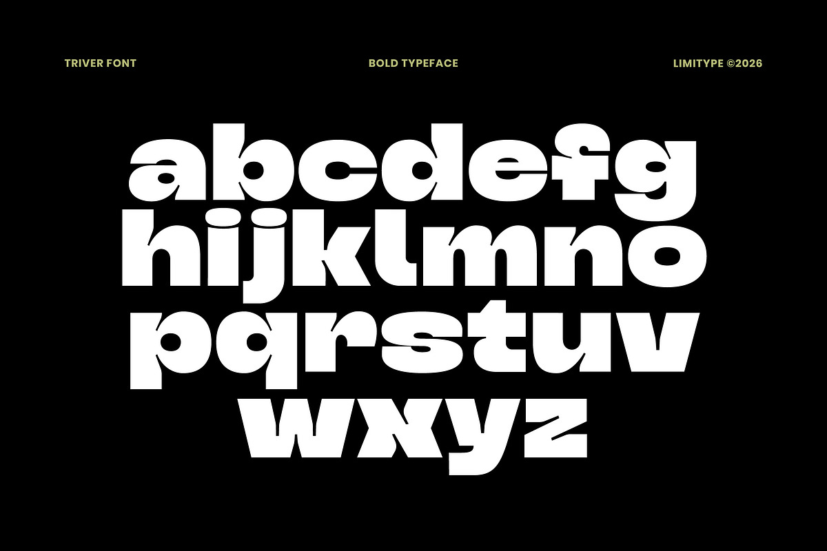 Triver - Bold Inktrap Font, a Sans Serif Font by limitype (Photo 9 of 12)