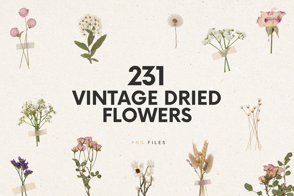 231 Vintage Dried Flowers, an Object Graphic by Ksuview (Photo 1 of 8)