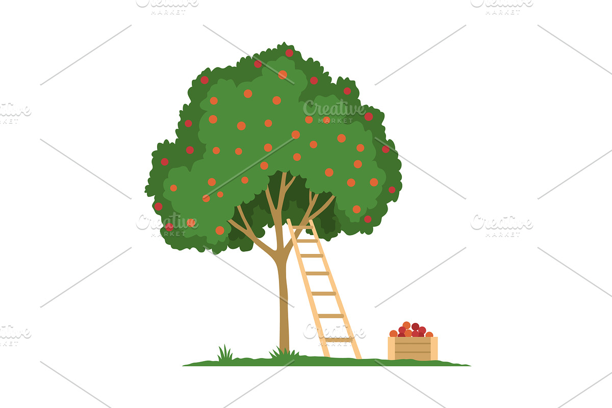 A tree with a ladder and a basket of, an Illustration by the8monkey