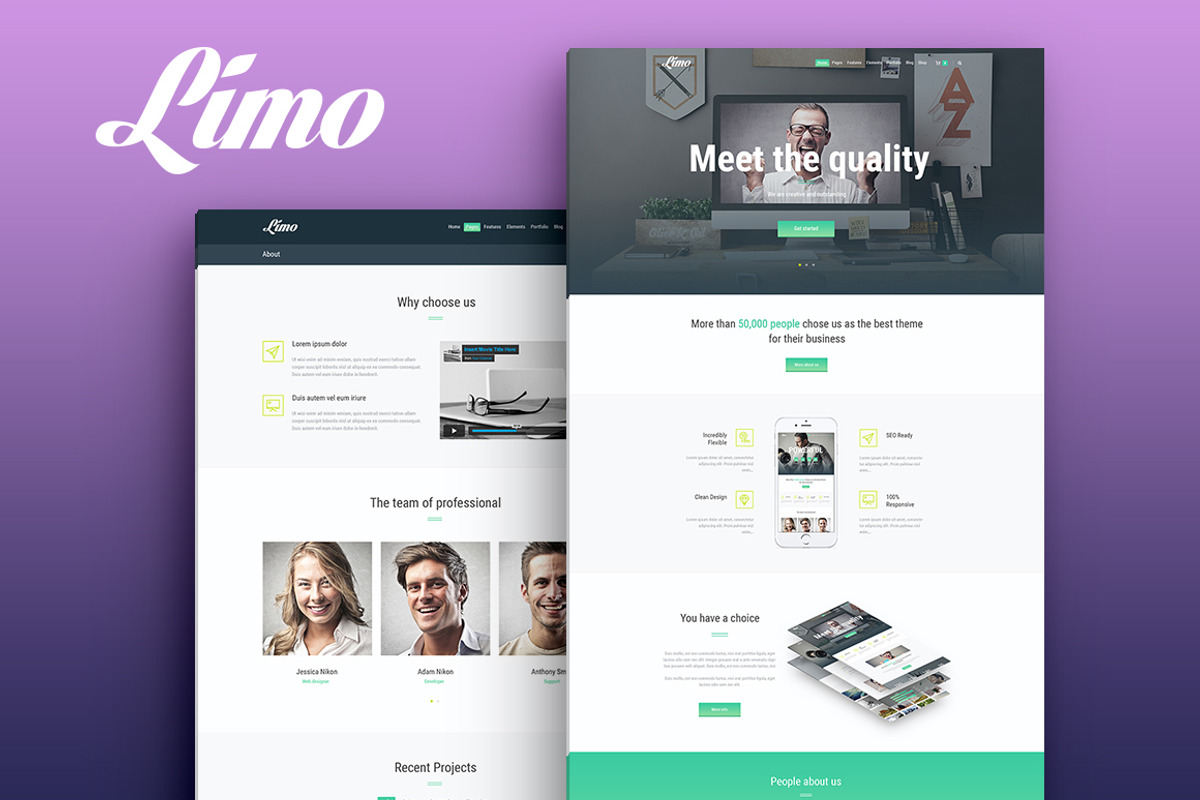 Limo - Multi-purpose WordPress Theme, a WordPress Template by ThemeREX (Photo 3 of 3)