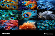 Feathers. 54 images, an Animal Illustration by Handmadefont (Thumbnail 12 of 12)