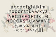 Archive Foundry - Vintage Typeface, a Sans Serif Font by HipFonts (Thumbnail 5 of 15)