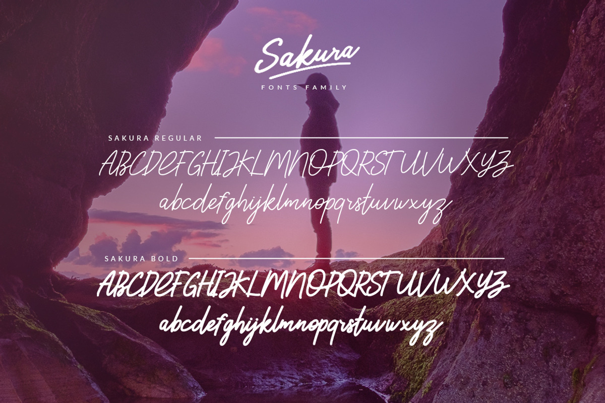 Sakura Font Family 25% OFF preview 8